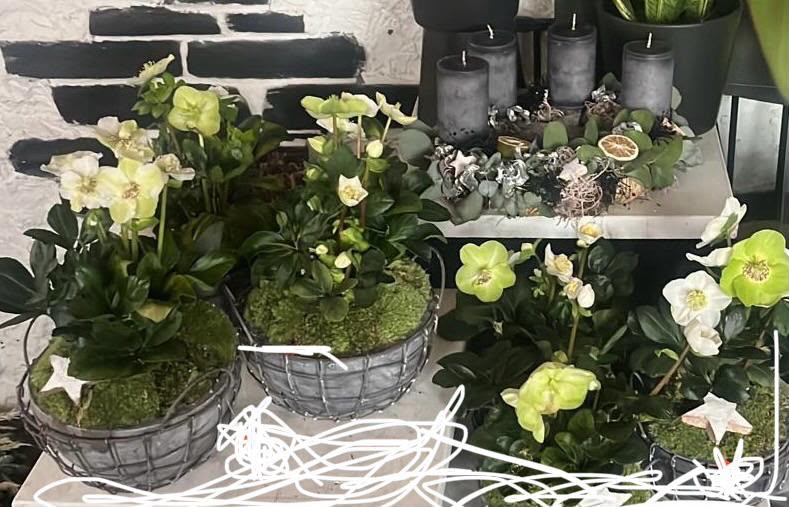 Floristisches Werkstück von Berliner Blume – Advent, Galeriebild 135