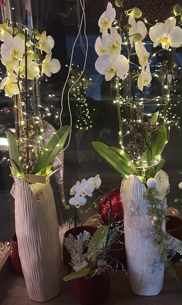 Floristisches Werkstück von Berliner Blume – Advent, Galeriebild 150