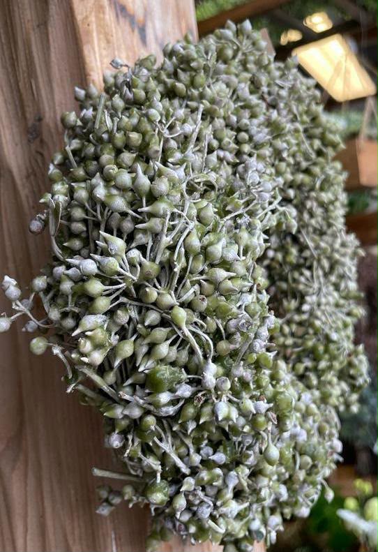 Floristisches Werkstück von Berliner Blume – Kränze, Galeriebild 113