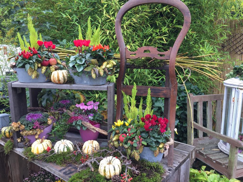 Floristisches Werkstück von Berliner Blume – Pflanzschalen, Galeriebild 002