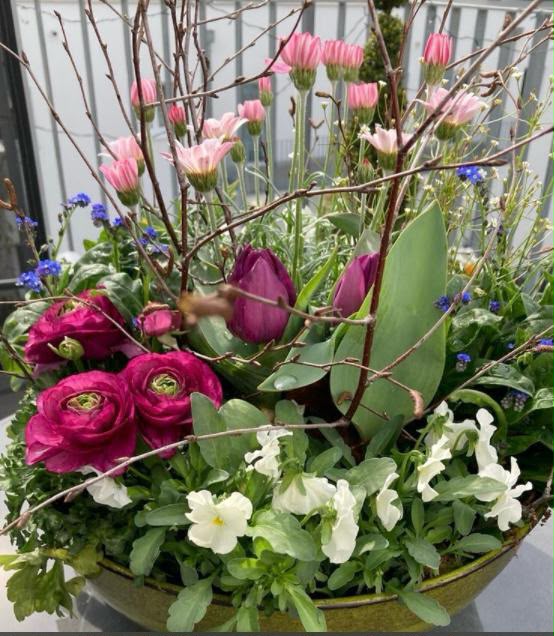 Floristisches Werkstück von Berliner Blume – Pflanzschalen, Galeriebild 007