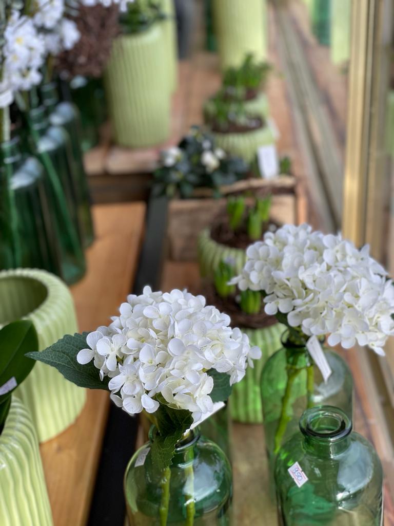 Einzelblume als stilvolles Arrangement