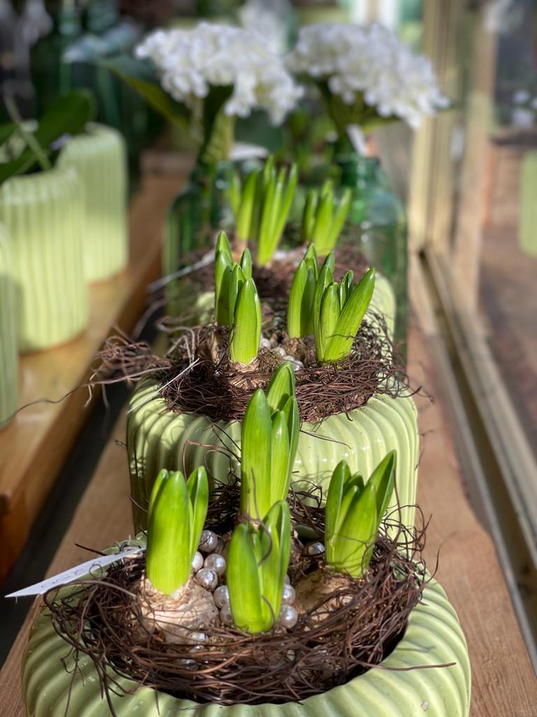 Frühlingsfloristik mit saisonalen Blumen